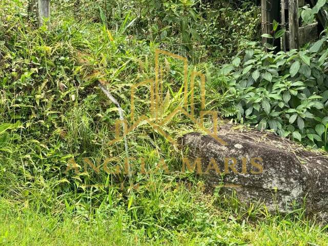 Sítio para Venda em São José dos Campos - 5