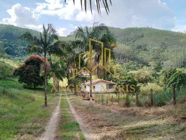 #FAZ1089 - Fazenda para Venda em São José dos Campos - SP - 1