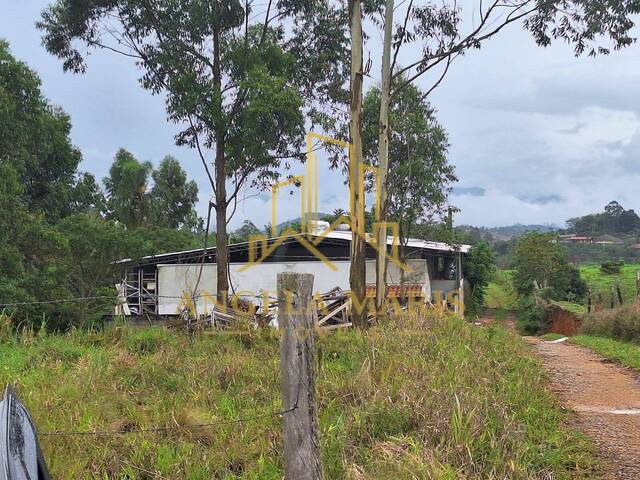  para  em  - 3