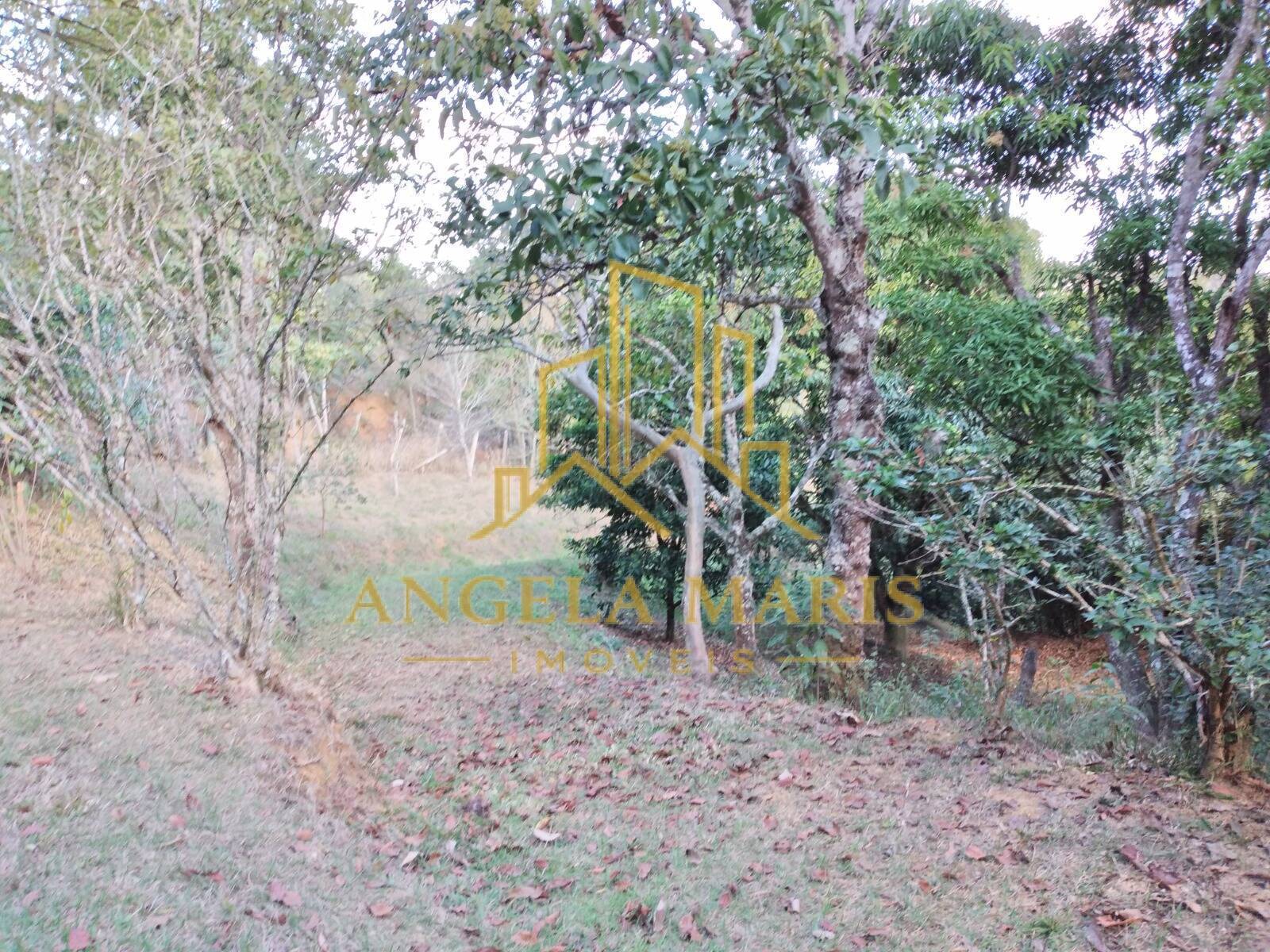 Chácara, 3 quartos, 1 hectares - Foto 31