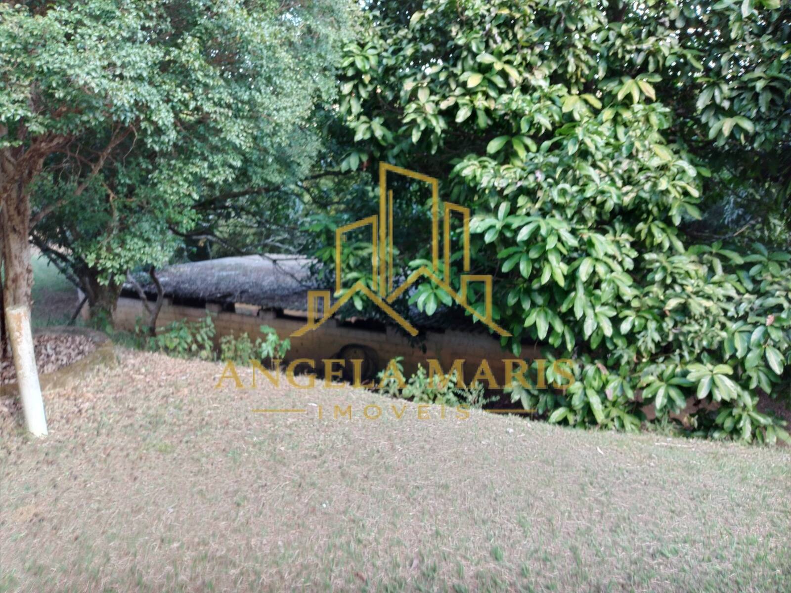 Chácara, 3 quartos, 1 hectares - Foto 29