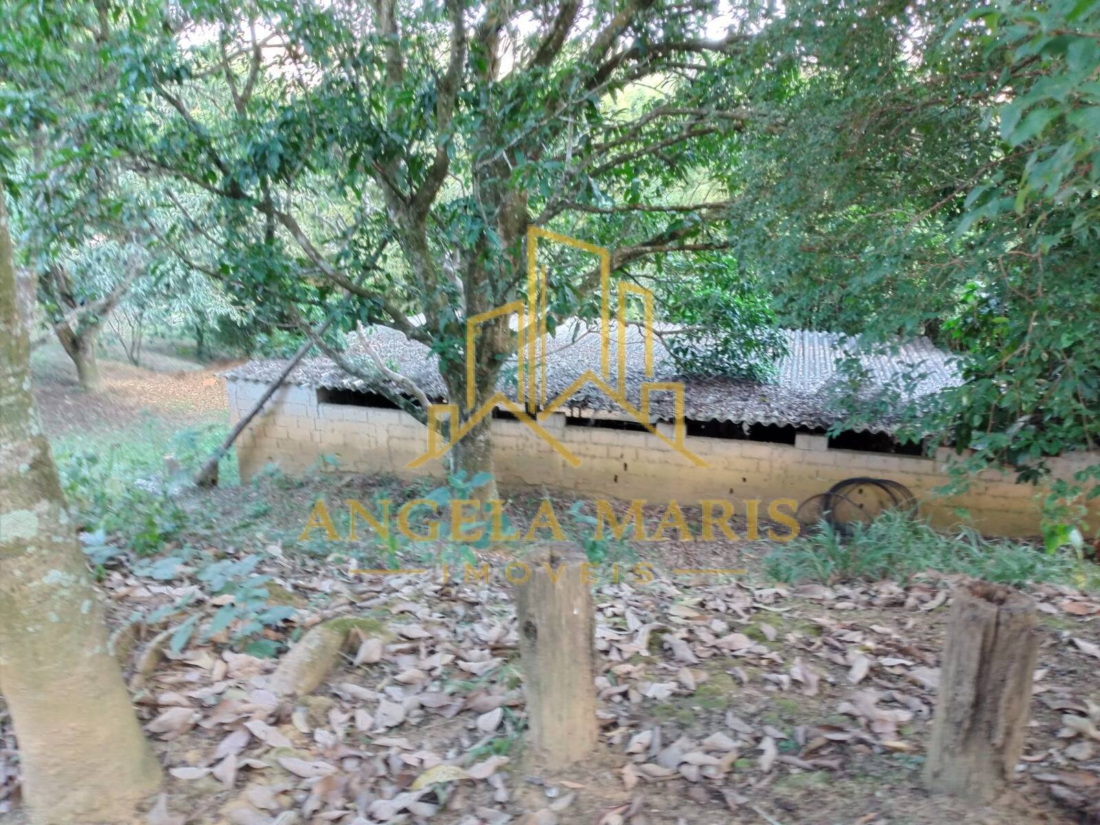 Chácara, 3 quartos, 1 hectares - Foto 34