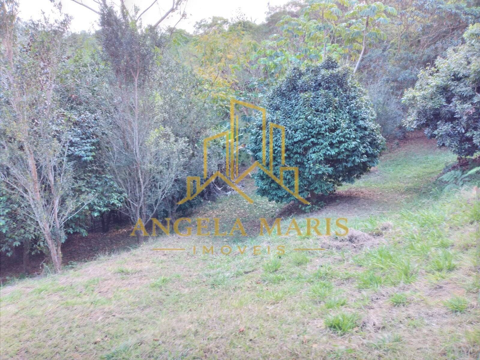 Chácara, 3 quartos, 1 hectares - Foto 37