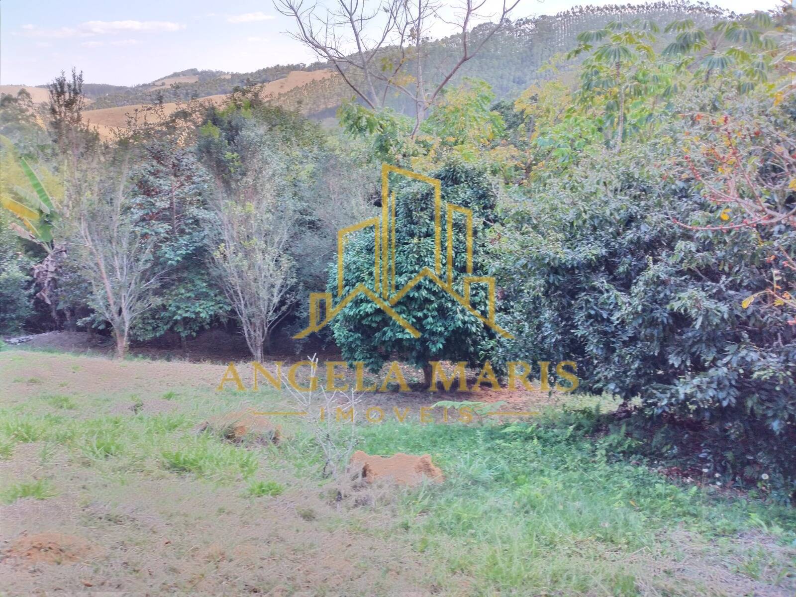Chácara, 3 quartos, 1 hectares - Foto 38
