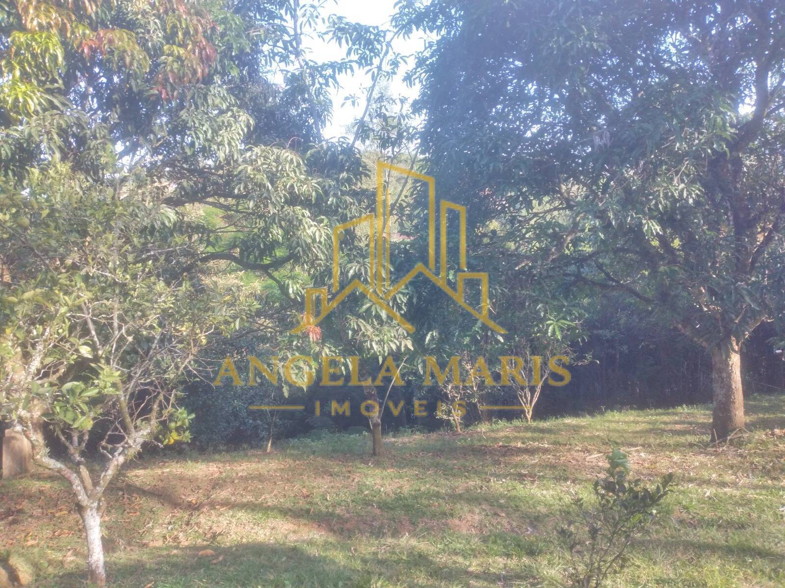 Chácara, 3 quartos, 1 hectares - Foto 40