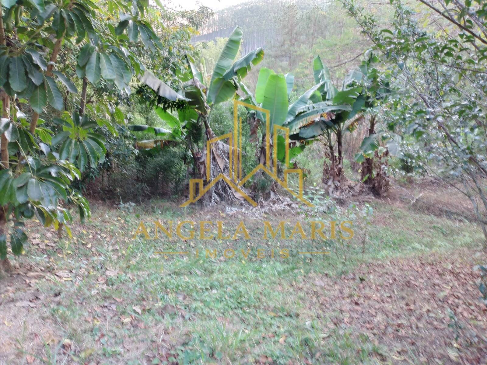 Chácara, 3 quartos, 1 hectares - Foto 39