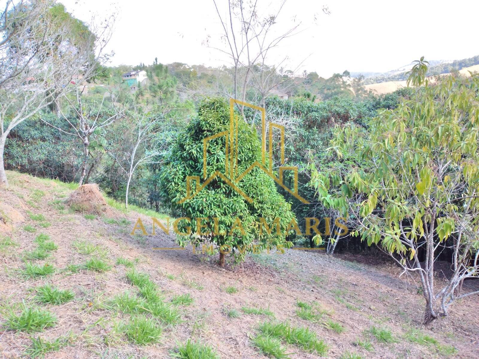 Chácara, 3 quartos, 1 hectares - Foto 41