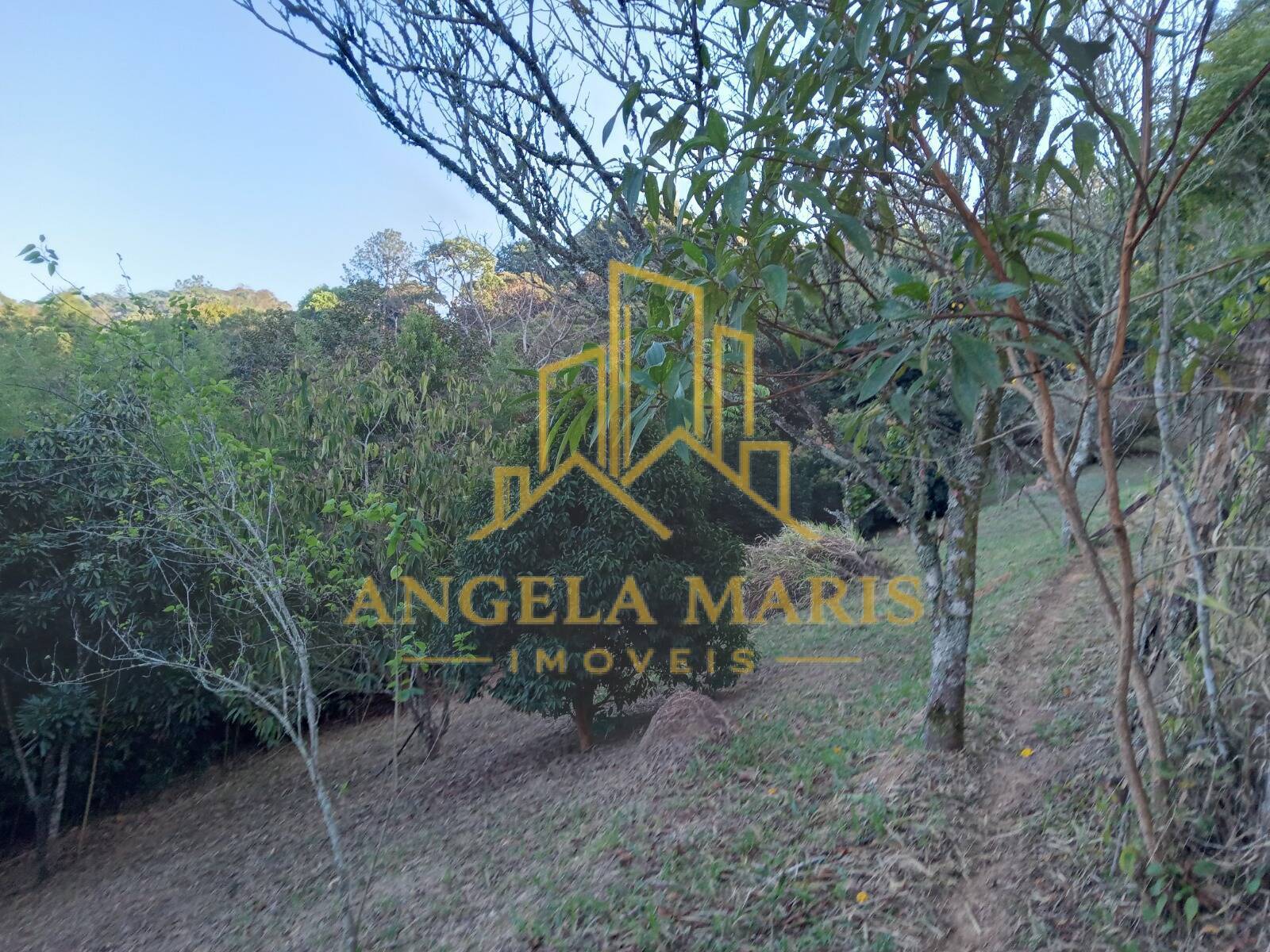 Chácara, 3 quartos, 1 hectares - Foto 44