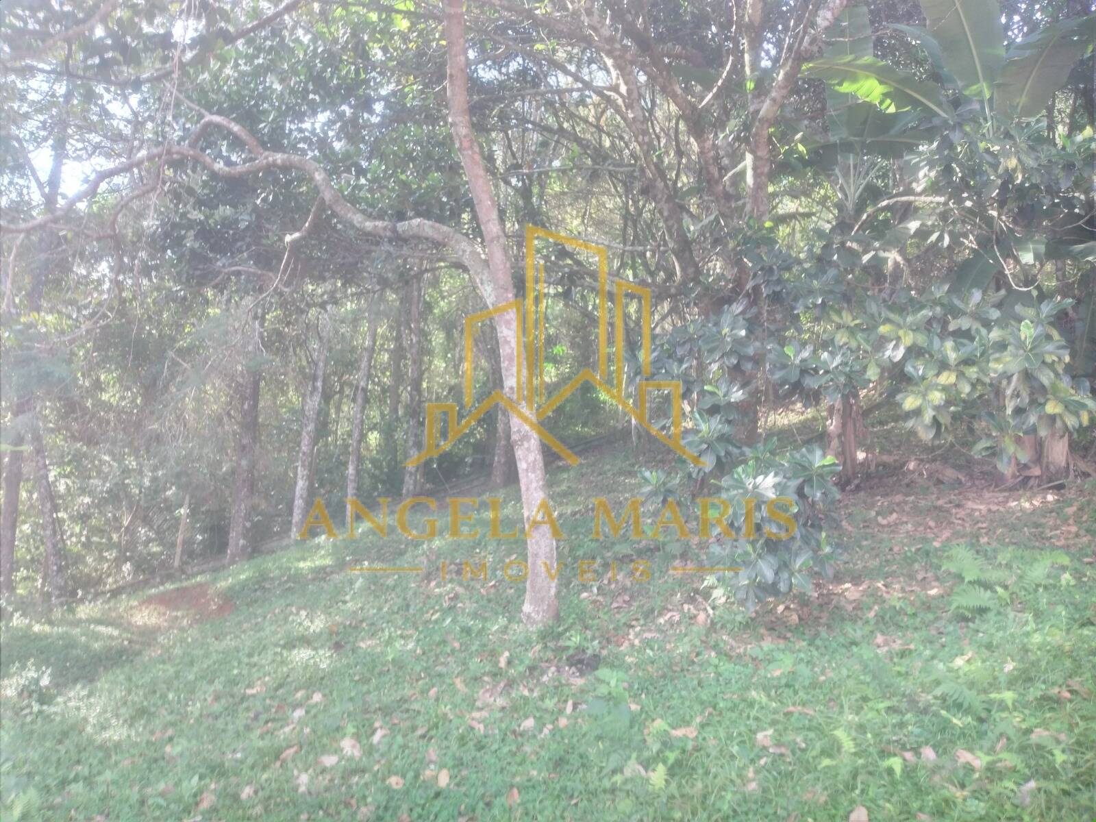 Chácara, 3 quartos, 1 hectares - Foto 45