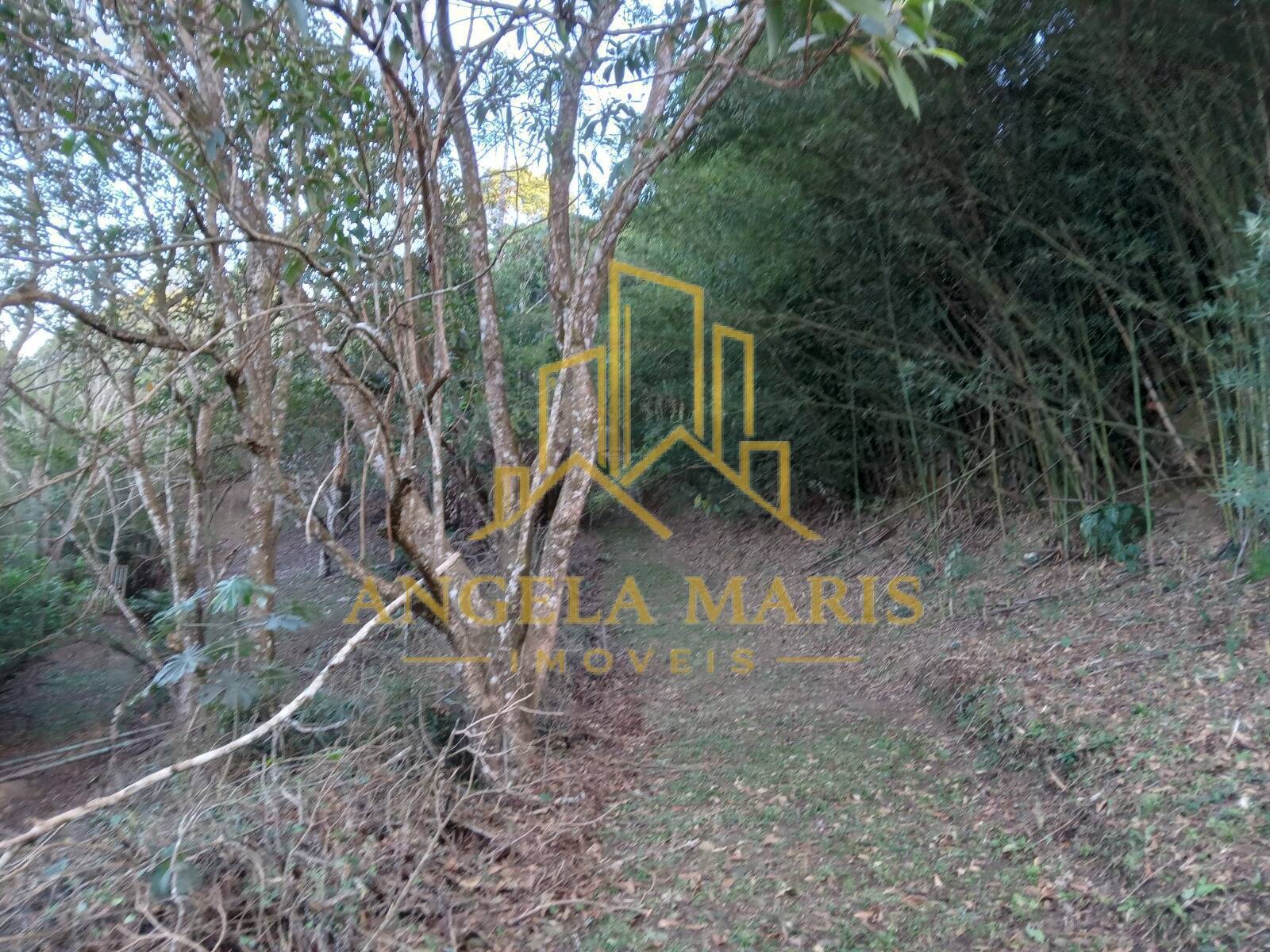 Chácara, 3 quartos, 1 hectares - Foto 46