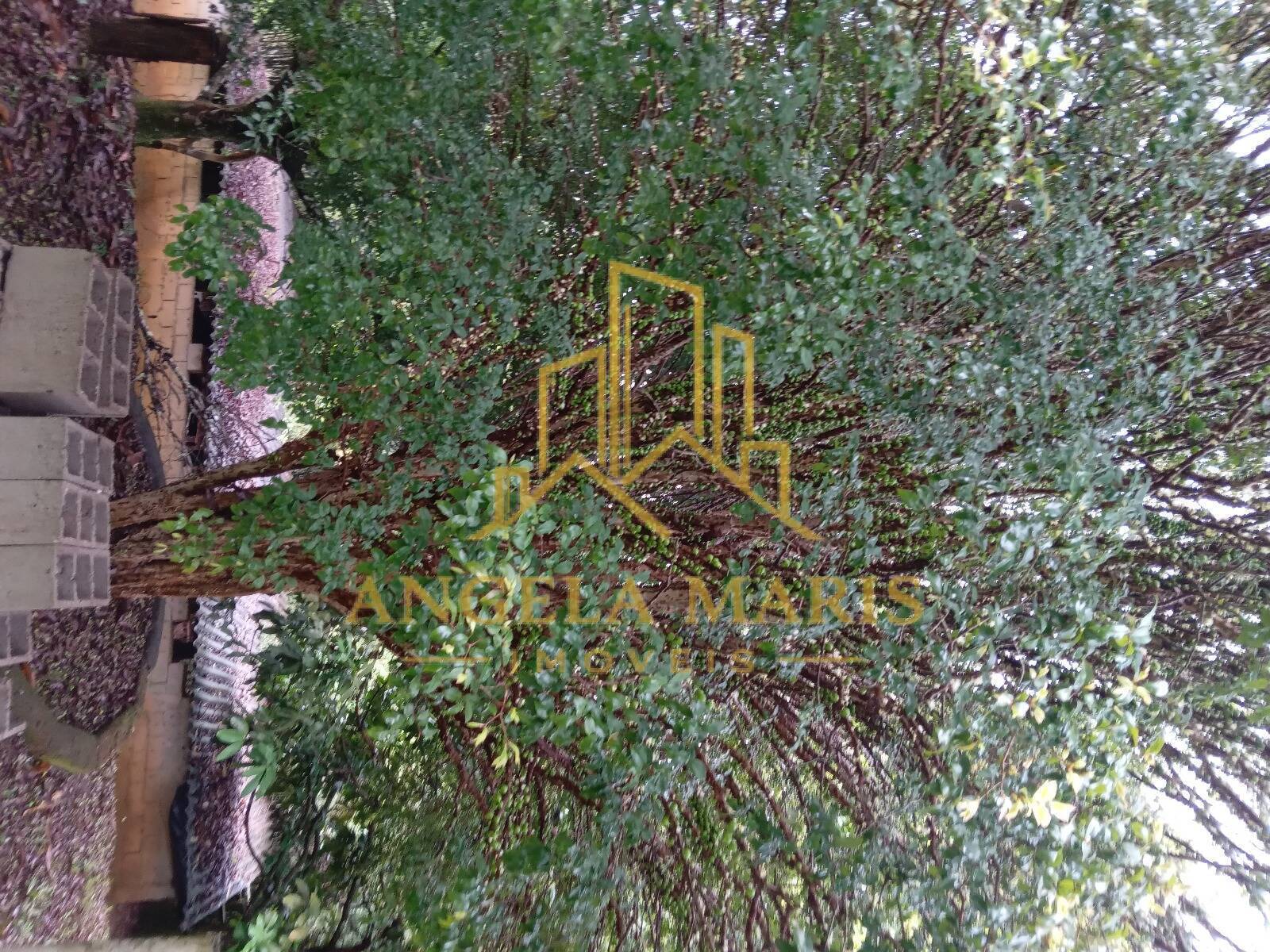 Chácara, 3 quartos, 1 hectares - Foto 47