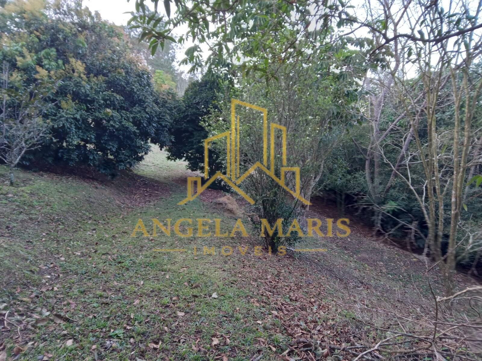 Chácara, 3 quartos, 1 hectares - Foto 48