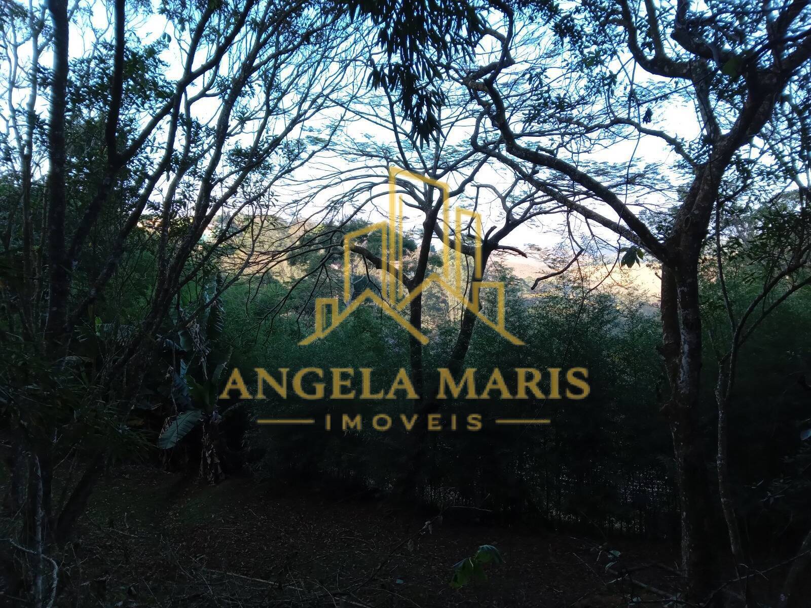 Chácara, 3 quartos, 1 hectares - Foto 49
