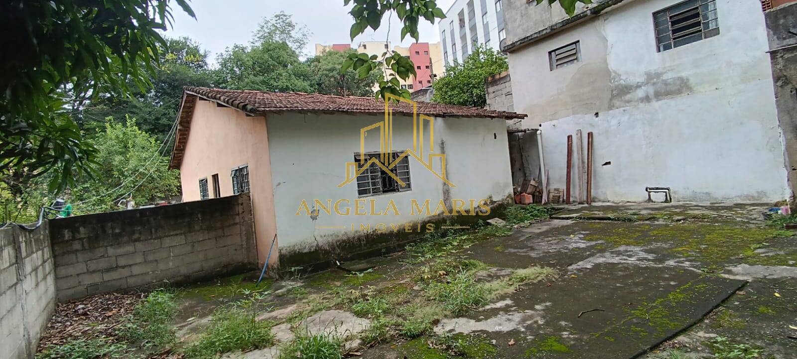 Terreno, 2550 m² - Foto 2