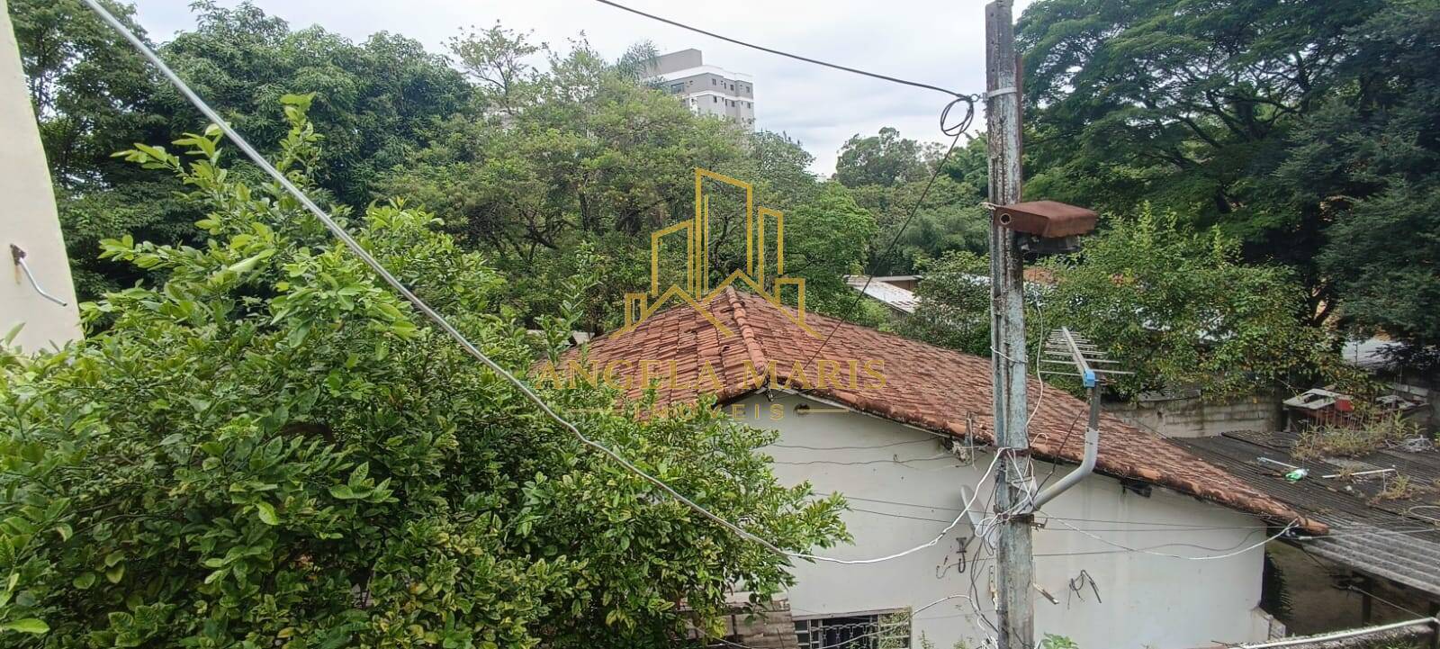 Terreno, 2550 m² - Foto 3