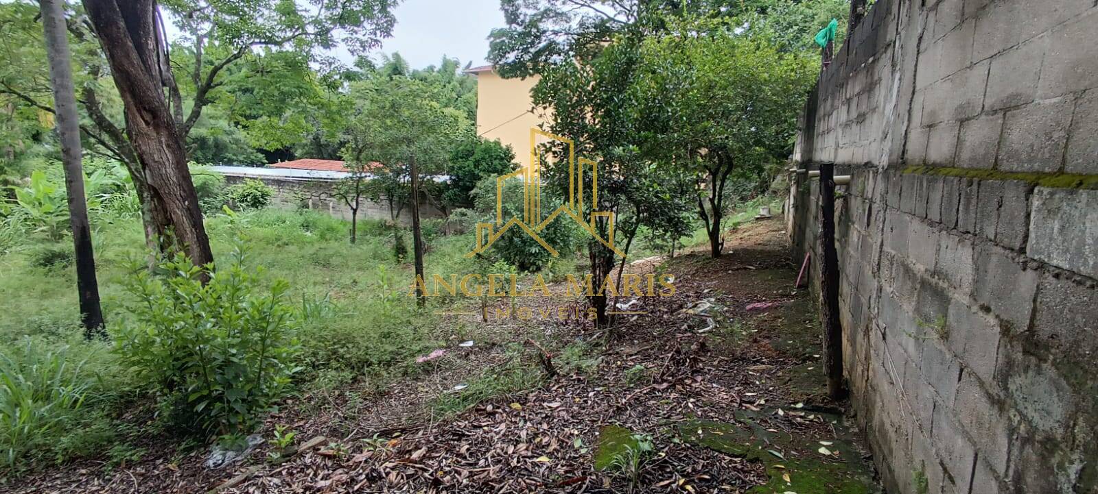 Terreno, 2550 m² - Foto 5