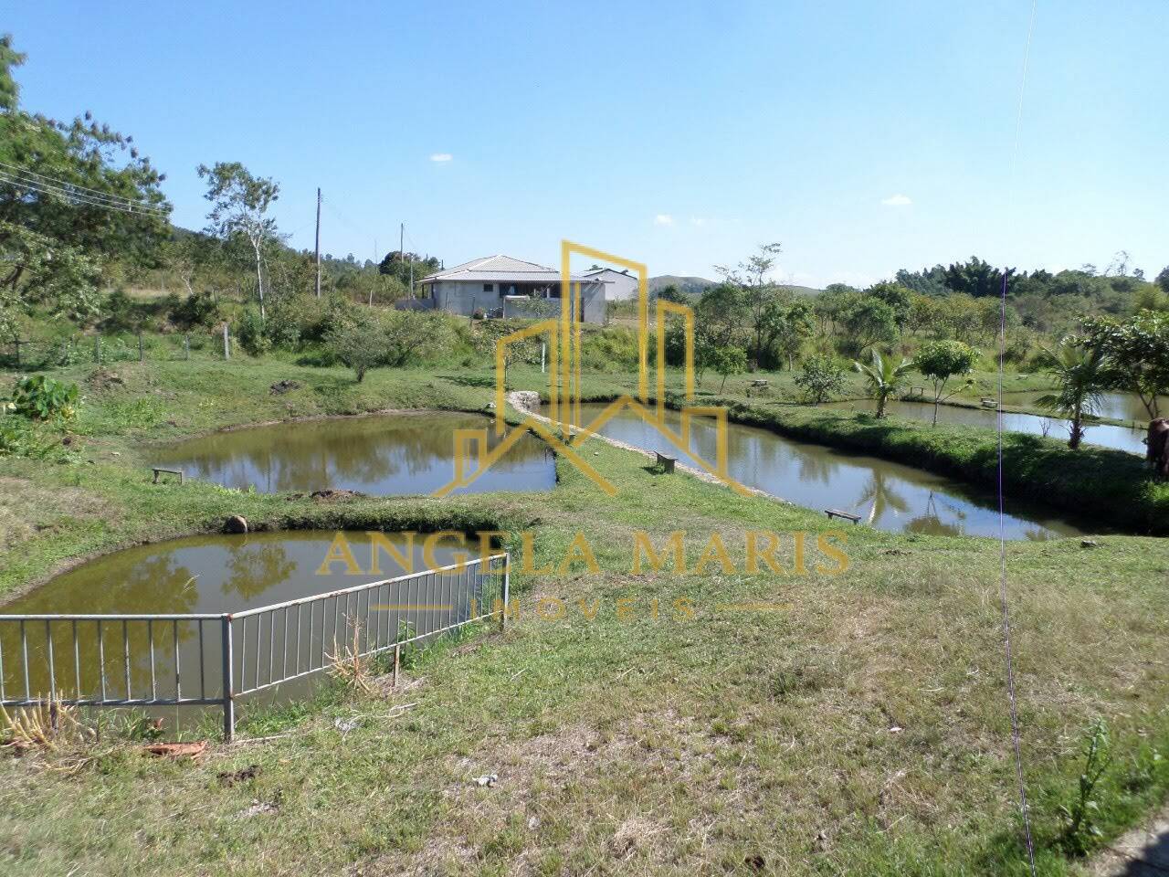 Chácara, 3 quartos, 1 hectares - Foto 4