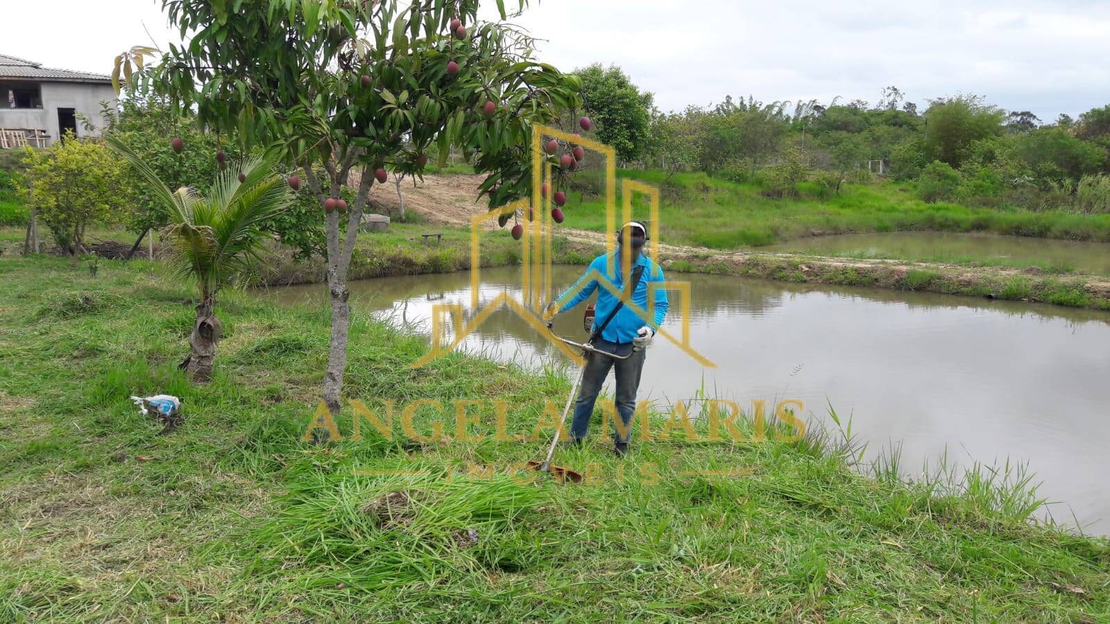 Chácara, 3 quartos, 1 hectares - Foto 19