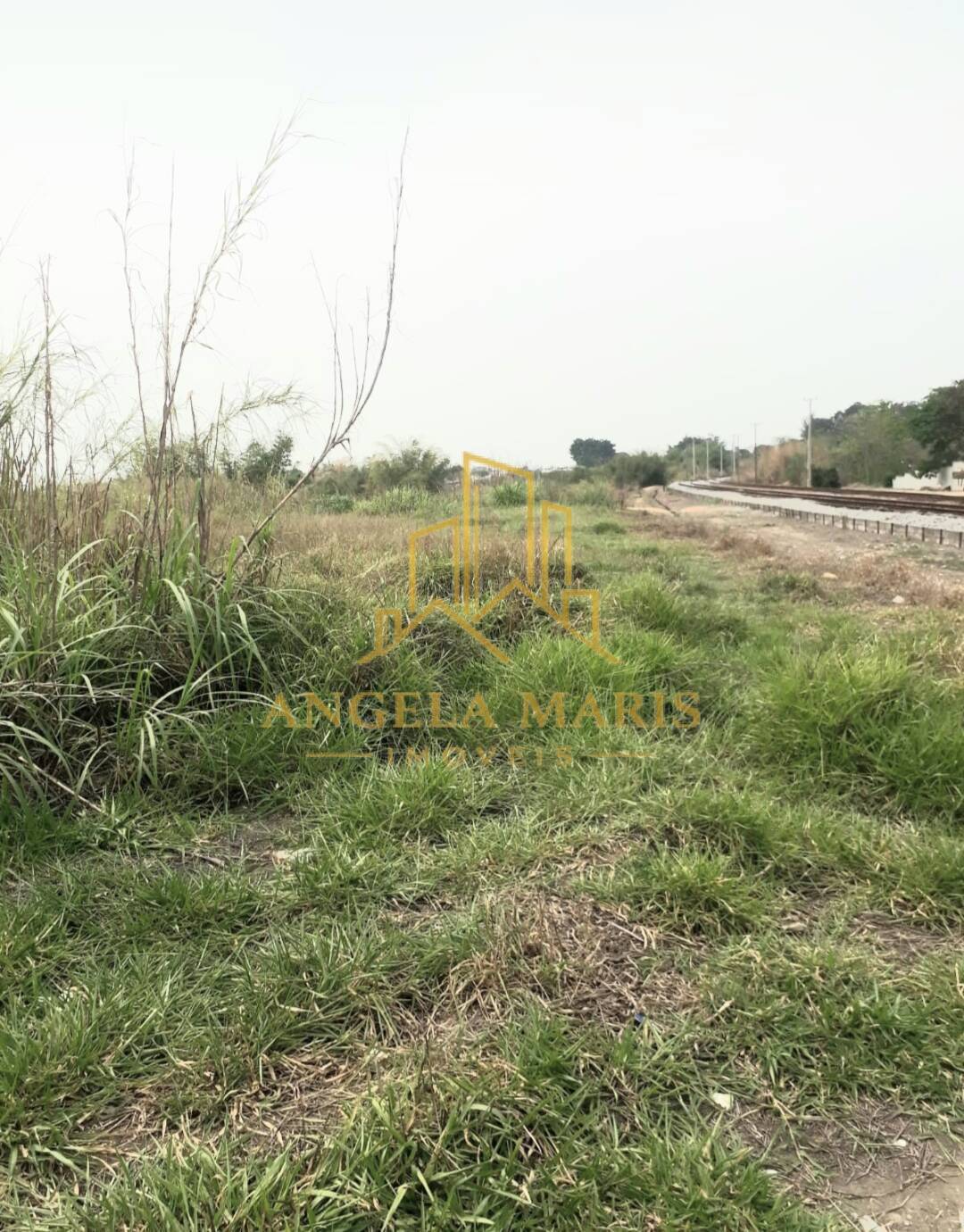 Terreno, 1 hectares - Foto 4