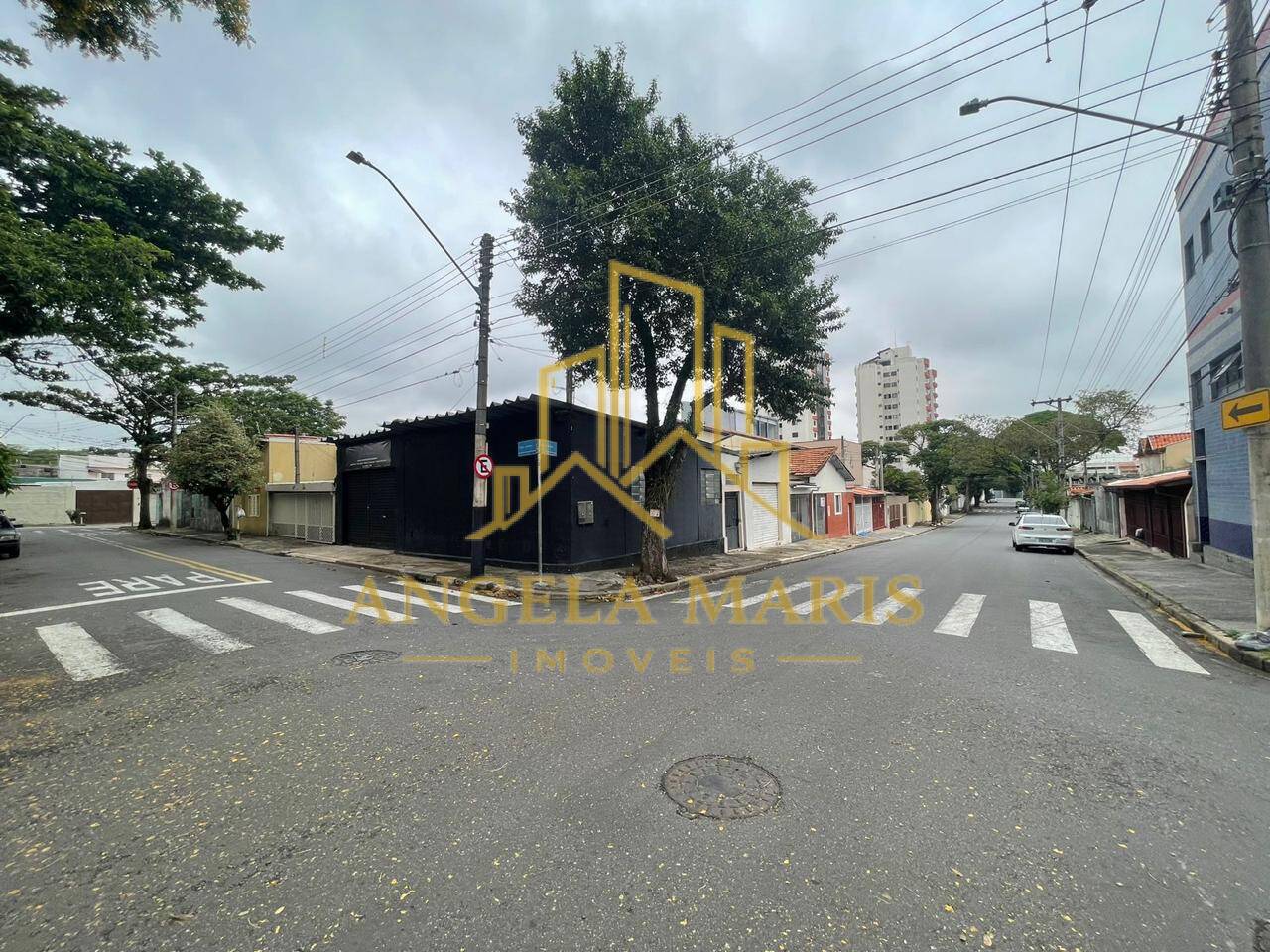 Casa, 3 quartos, 475 m² - Foto 3