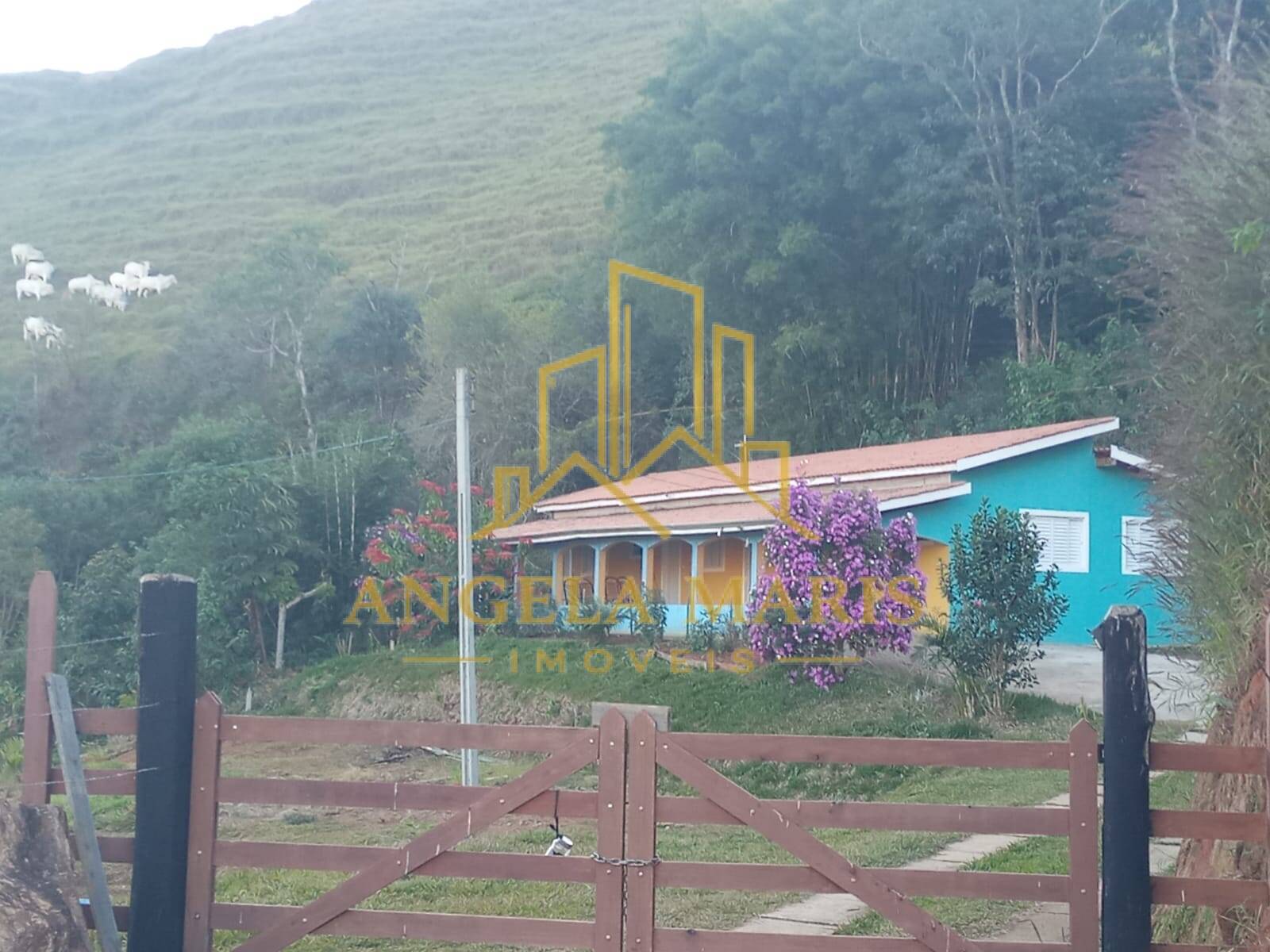 Chácara, 4 quartos, 4000 m² - Foto 4