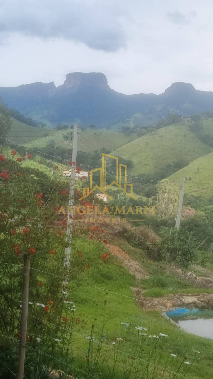 Chácara, 4 quartos, 4000 m² - Foto 24