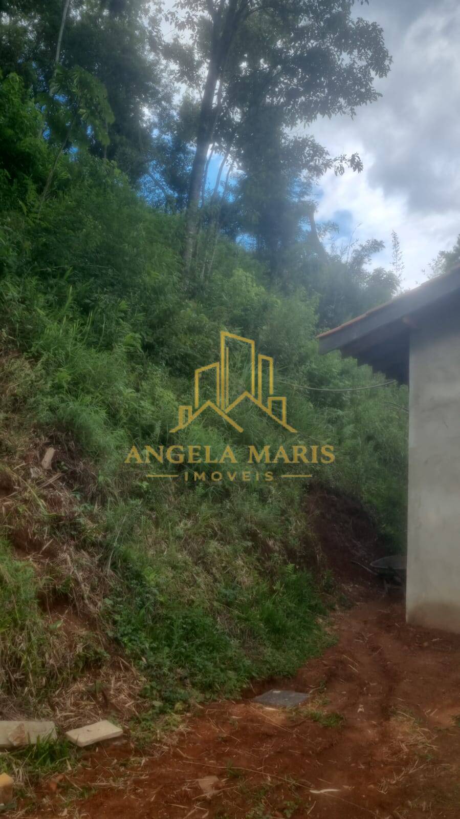 Chácara, 4 quartos, 4000 m² - Foto 26