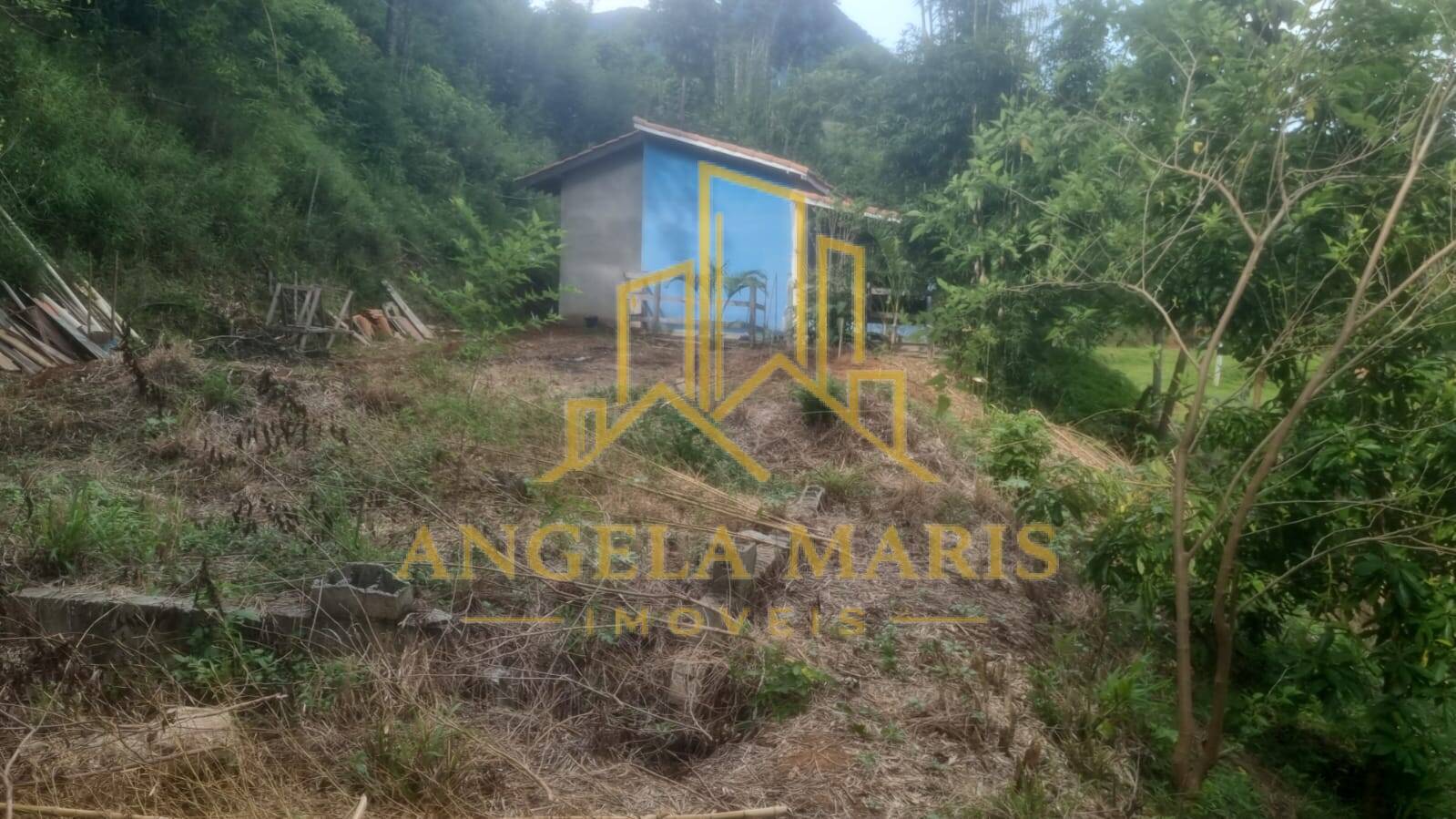 Chácara, 4 quartos, 4000 m² - Foto 28