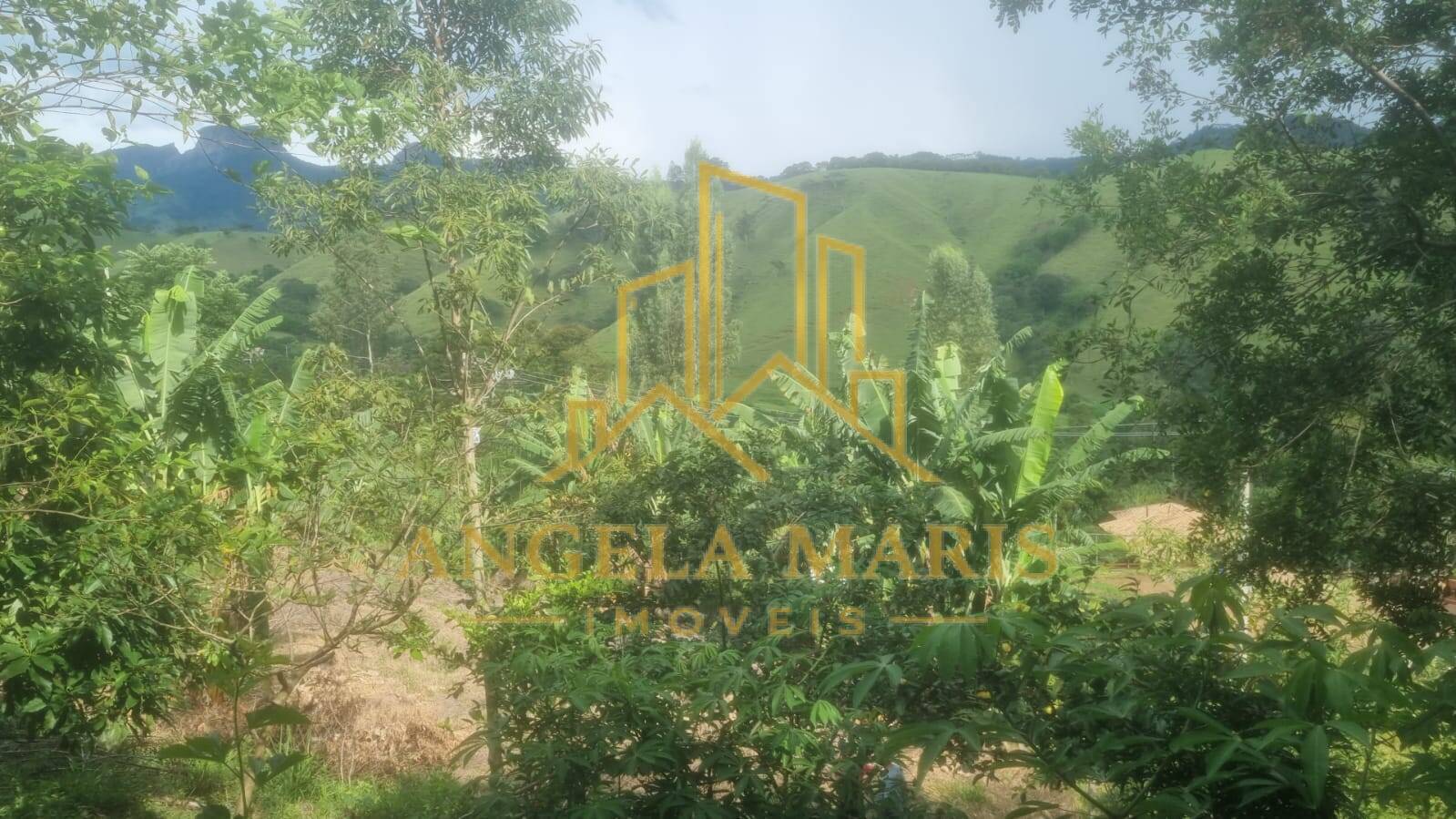 Chácara, 4 quartos, 4000 m² - Foto 27