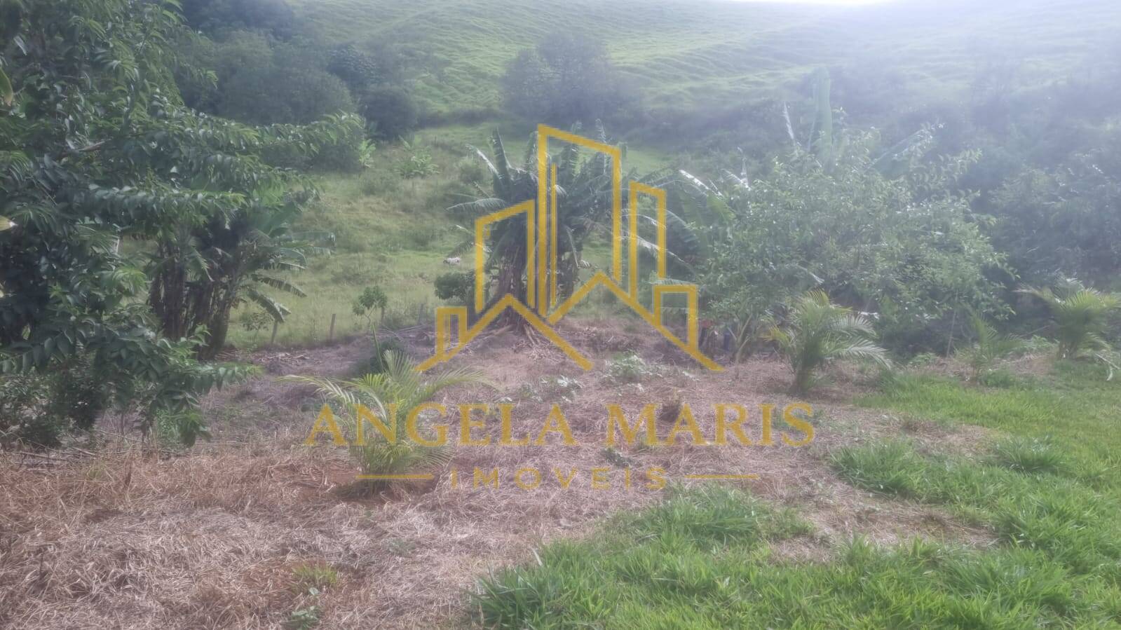 Chácara, 4 quartos, 4000 m² - Foto 30