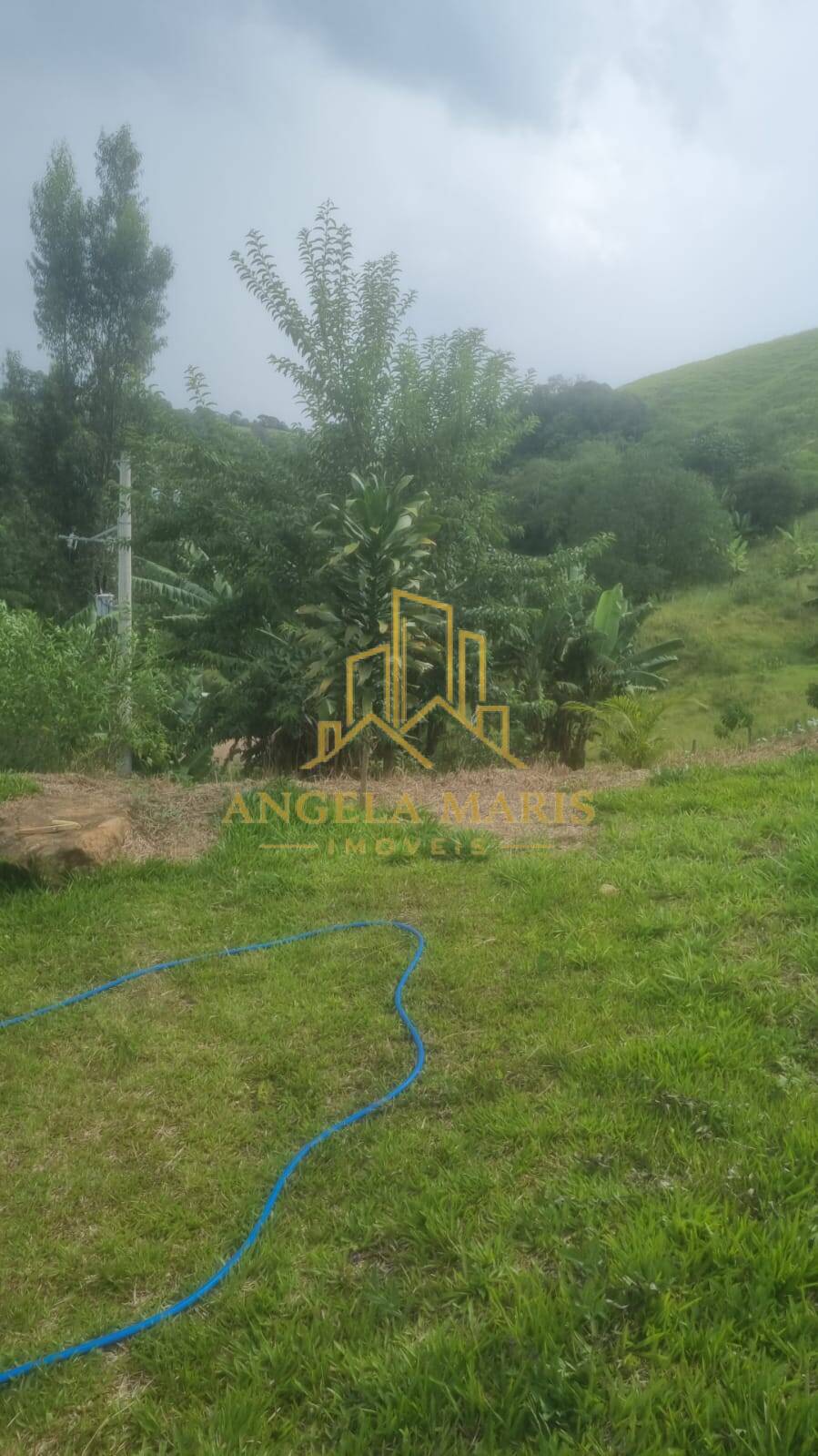 Chácara, 4 quartos, 4000 m² - Foto 29