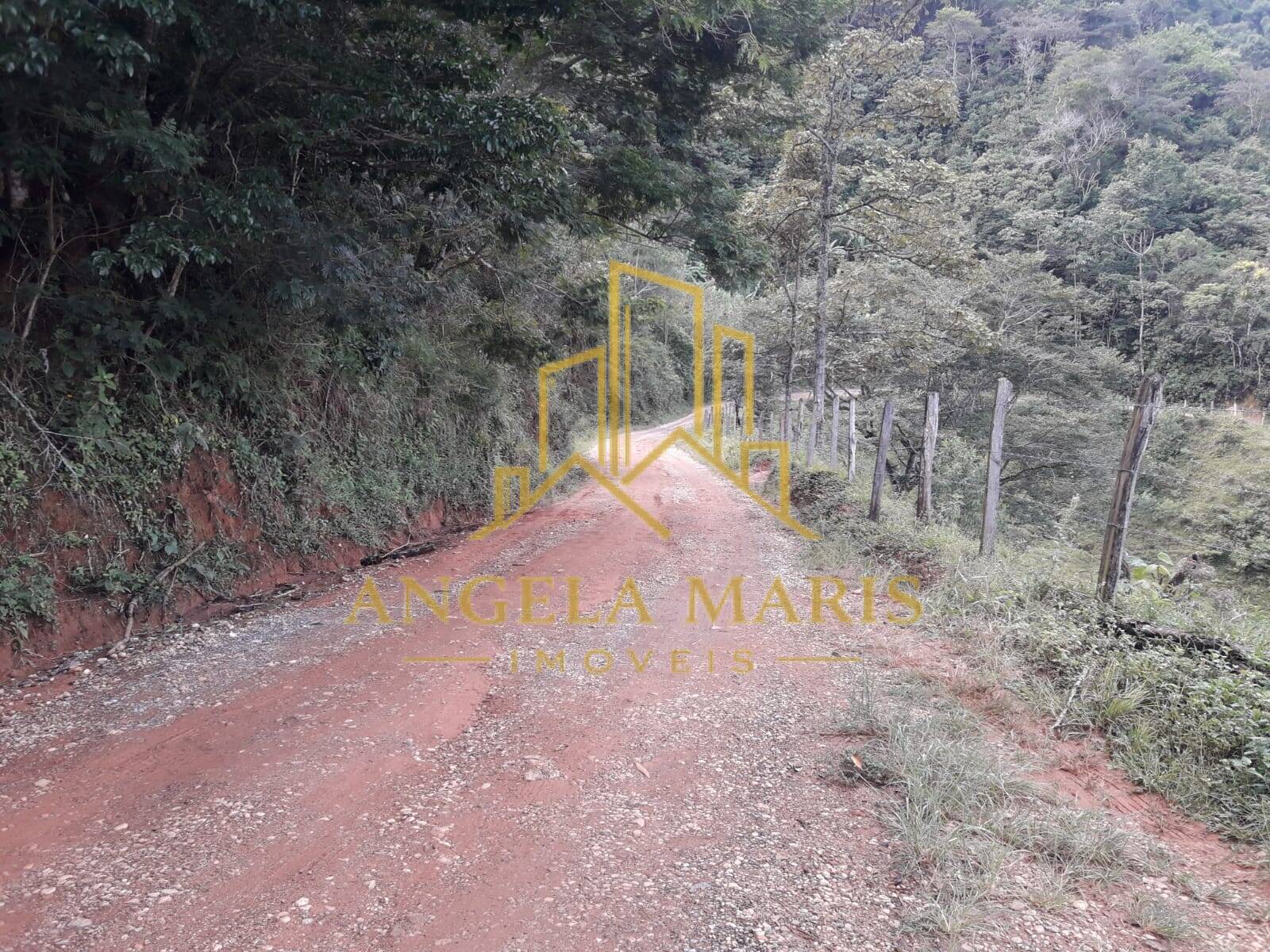 Sítio, 4 quartos, 17 hectares - Foto 4