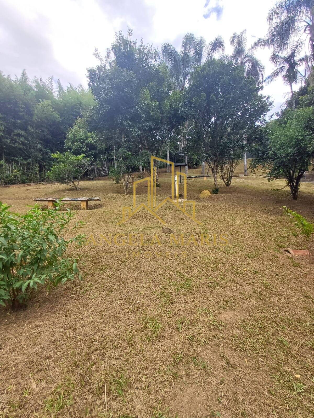 Chácara, 4 quartos, 5400 m² - Foto 9