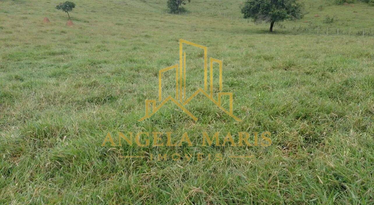 Chácara, 2 quartos, 1 hectares - Foto 11
