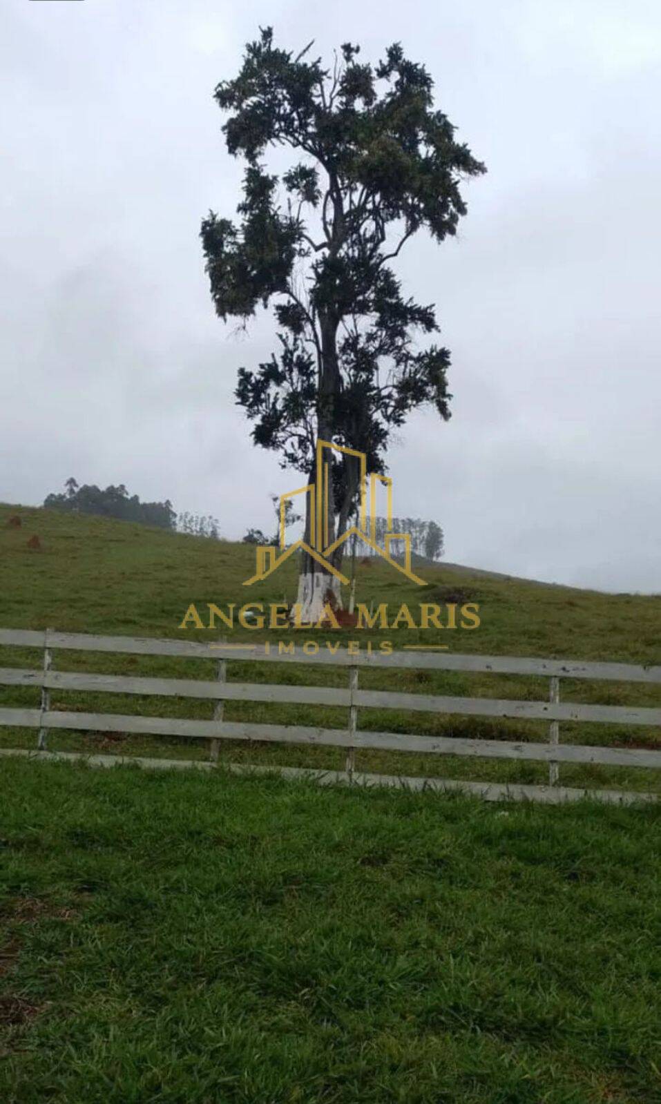 Chácara, 2 quartos, 1 hectares - Foto 12