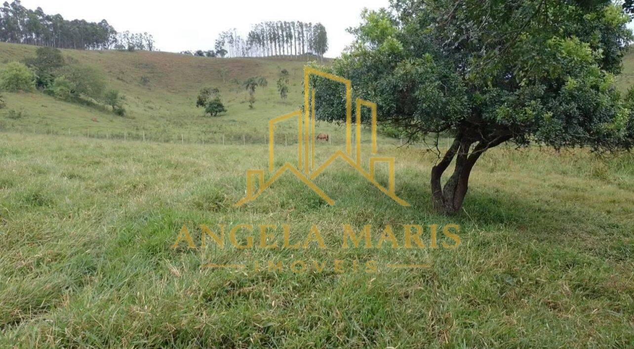 Chácara, 2 quartos, 1 hectares - Foto 14