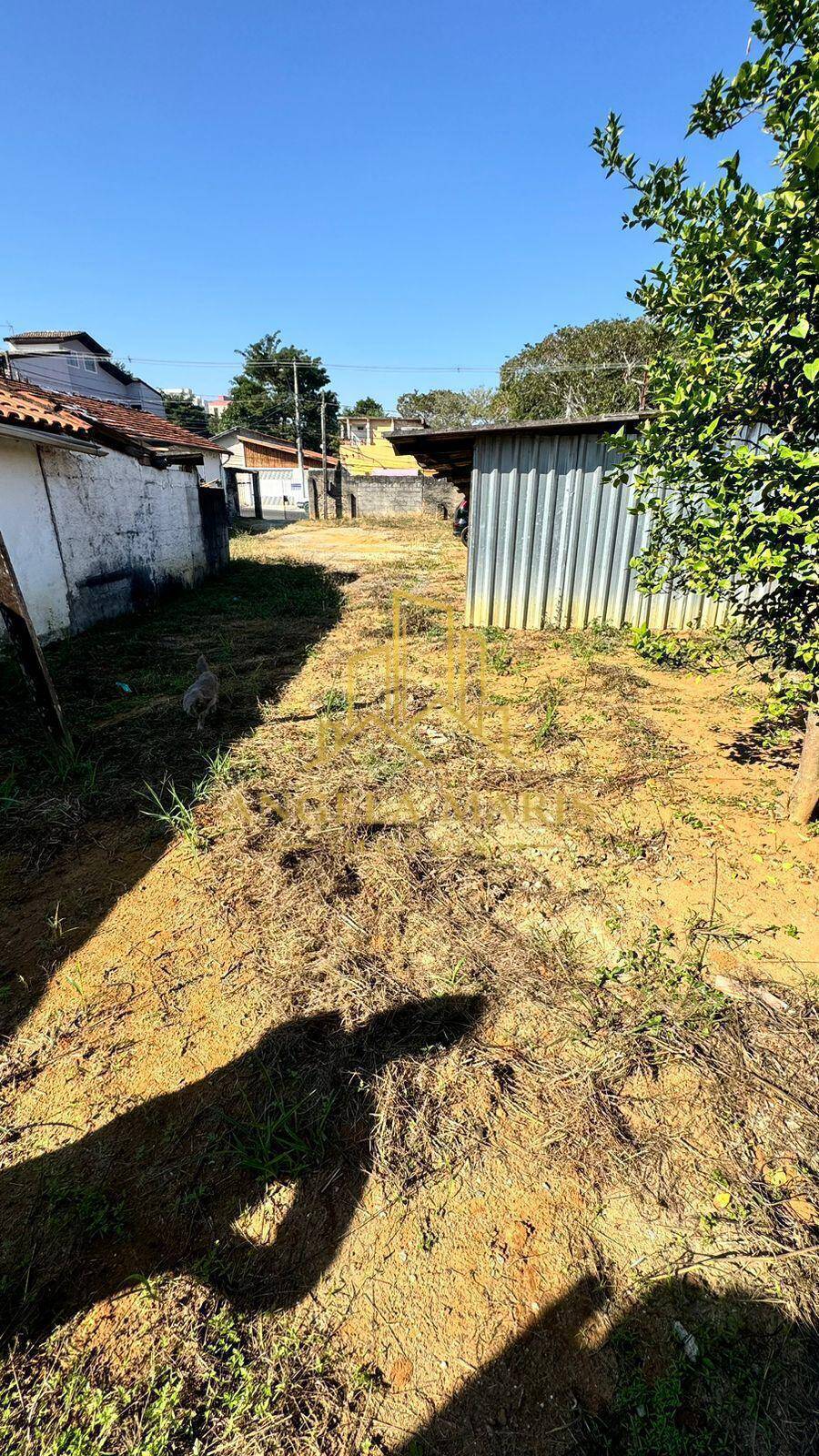 Terreno, 1230 m² - Foto 3