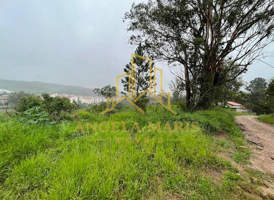Terreno, 12 hectares - Foto 7
