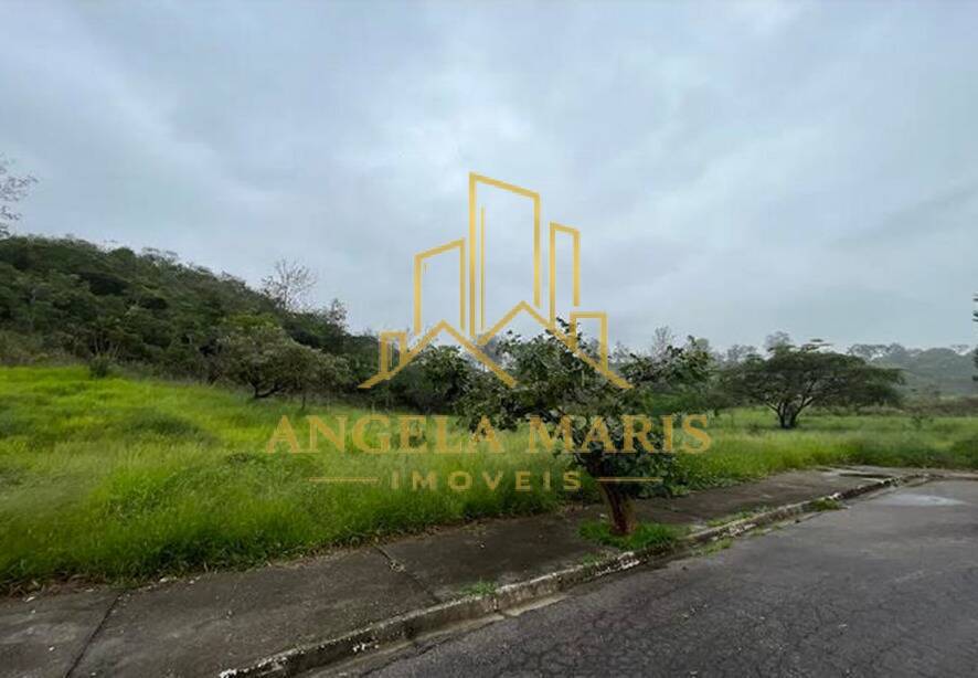 Terreno, 12 hectares - Foto 10