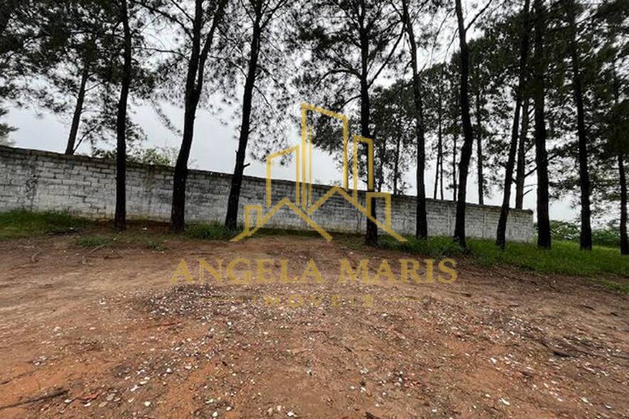 Terreno, 12 hectares - Foto 12