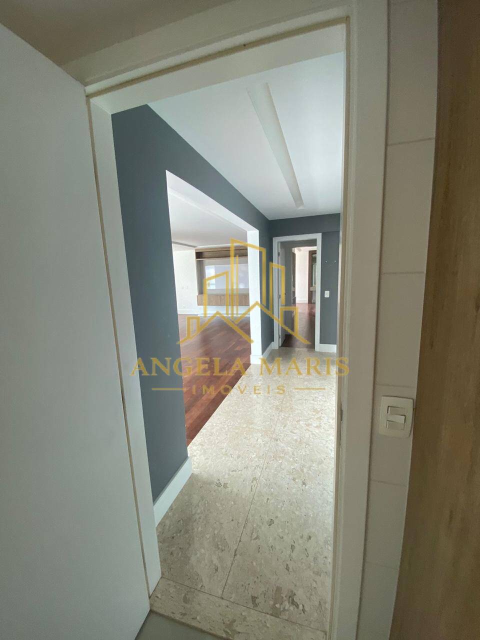 Apartamento, 4 quartos, 245 m² - Foto 11