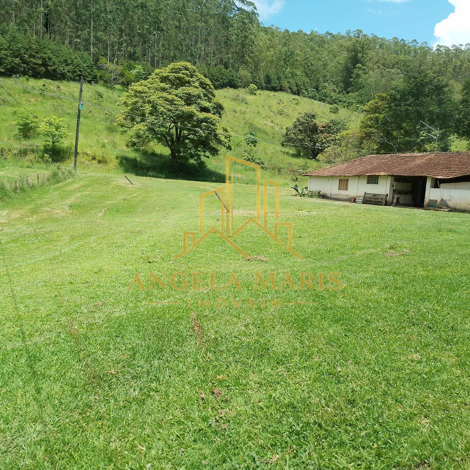 Fazenda, 144 hectares - Foto 6
