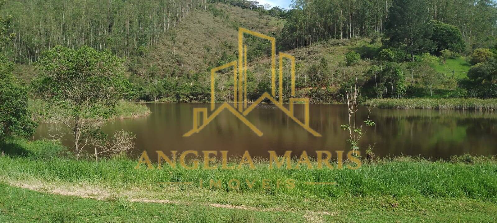 Fazenda, 144 hectares - Foto 5