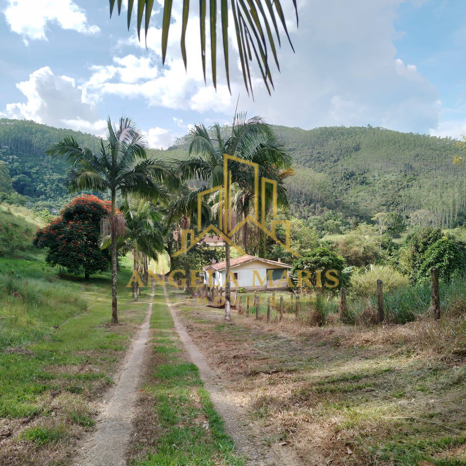 Fazenda, 144 hectares - Foto 7