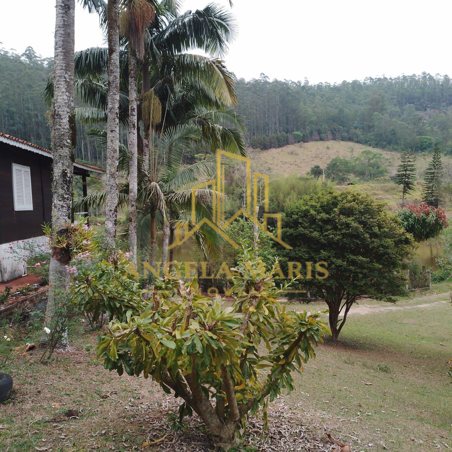 Fazenda, 144 hectares - Foto 8