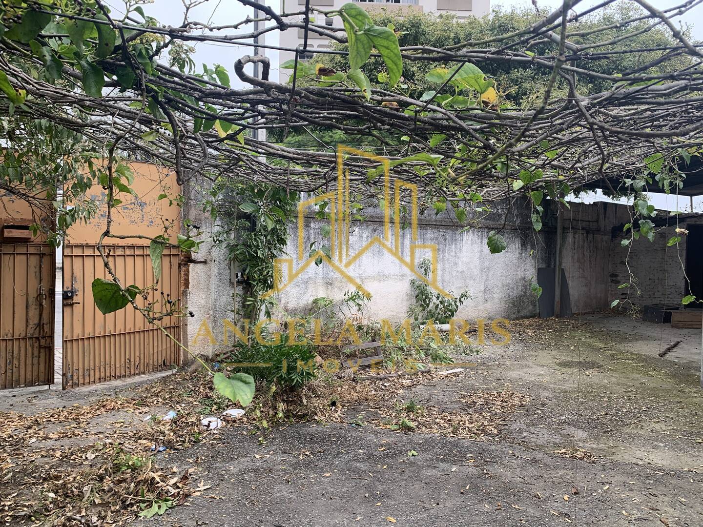 Terreno, 621 m² - Foto 4