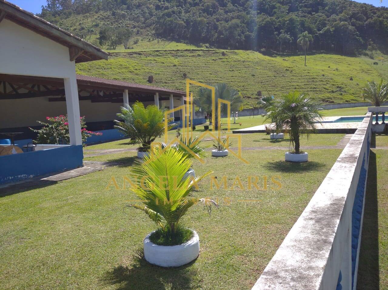 Sítio, 3 quartos, 1250 m² - Foto 3