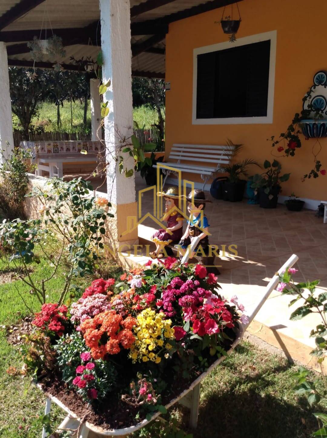 Chácara, 3 quartos, 3860 m² - Foto 8