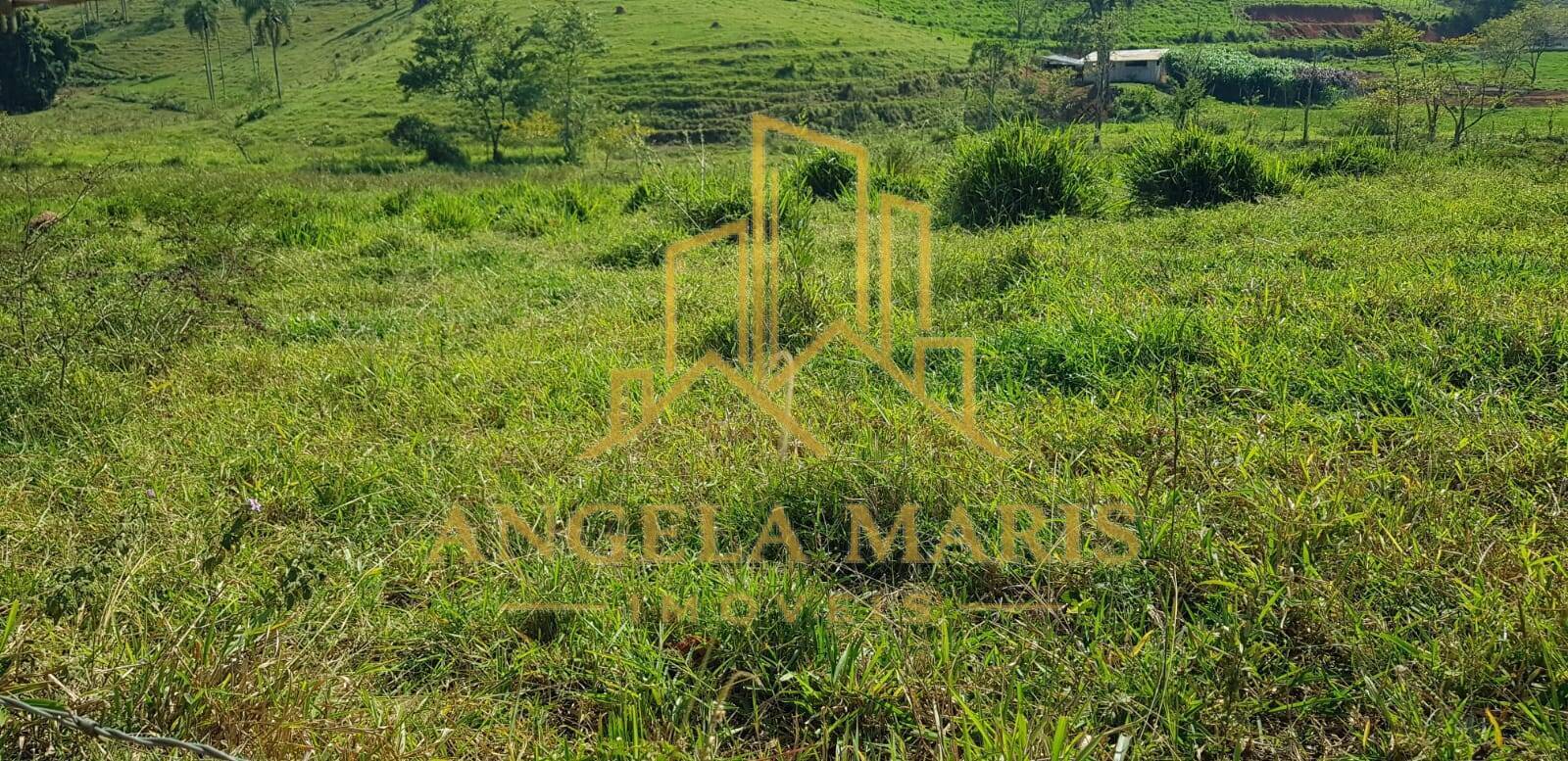 Terreno, 4800 m² - Foto 9