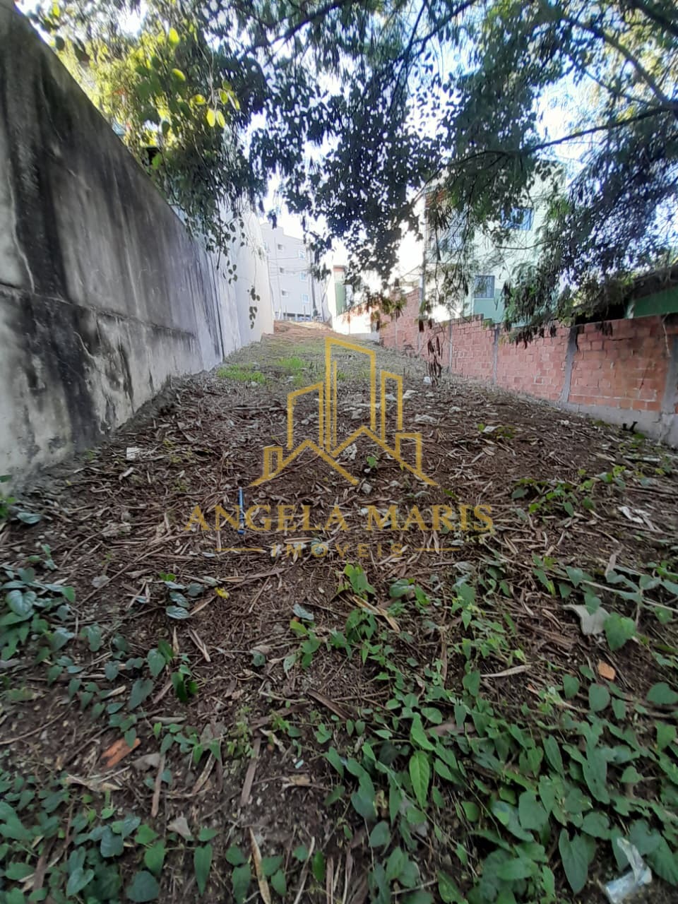 Terreno, 303 m² - Foto 5